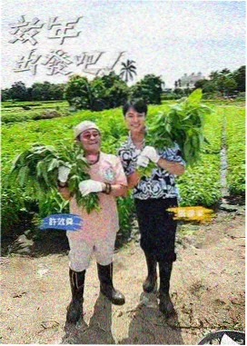 第七个证人 笔趣阁app 编辑推荐